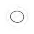 02892-03072 by BLUMAQ - Seal O-ring