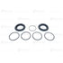 Blumaq 1V2117 Disc Brake Caliper Seal Kit Disc Brake Caliper Seal Kit - fits Caterpillar Compact Wheel Loader 910