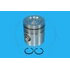 Blumaq 218520 Engine Piston Crown Engine Piston Crown
