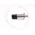 2602180 by BLUMAQ - Multi-Purpose Pressure Sensor - Stainless Steel, 13-32VDC, High Pressure