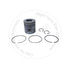 Blumaq 2881395 Engine Piston Kit Engine Piston Kit