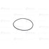 07000-02145 by BLUMAQ - Seal O-ring