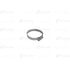 12065 by BLUMAQ - Hose Clamp
