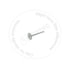 Blumaq 5S6449 Engine Exhaust Valve Engine Exhaust Valve