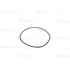 0546849 by BLUMAQ - Seal O-ring