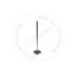 Blumaq 3848705 Engine Intake Valve Engine Intake Valve - fits Caterpillar