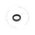 12029817B by BLUMAQ - Engine Crankshaft Seal - 100 mm. OD, Frontal Sided