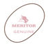5X1299 by MERITOR - Meritor Genuine Transfer Case Hardware