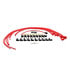 4041R by ACCEL - Universal Fit Spark Plug Wire Set