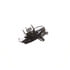 Dorman 686-468 Steering Knuckle Kit LOADED KNUCKLE