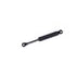 614469 by TUFF SUPPORT - Trunk Lid Lift Support