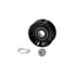 Dayco 89848 Accessory Drive Belt Tensioner Pulley IDLER/TENSIONER PULLEY, LT DUTY, DAYCO