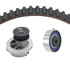 Dayco WP203K1A