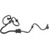 Standard Ignition CP3766 Vapor Canister Purge Valve Hose Vapor Canister Purge Valve Hose