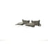 Bosch BC2098 Disc Brake Pad Set Bosch QuietCast Brake Pads