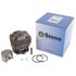 Stens 632-700 Engine Cylinder Kit Engine Cylinder Kit, 49mm Bore, with Piston, Rings, Pin and Clips, For Stihl TS400