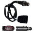 16249 by BOSCH - Oxygen Sensor