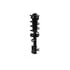 FCS Struts 1334145L Suspension Strut and Coil Spring Assembly Suspension Strut and Coil Spring Assembly