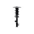 FCS Struts 1334146R Suspension Strut and Coil Spring Assembly Suspension Strut and Coil Spring Assembly