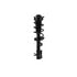 FCS Struts 1334145R Suspension Strut and Coil Spring Assembly Suspension Strut and Coil Spring Assembly