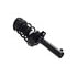2335970 by FCS STRUTS - Suspension Strut and Coil Spring Assembly