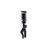 FCS Struts 1355160L Suspension Strut and Coil Spring Assembly Suspension Strut and Coil Spring Assembly