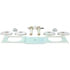 Delphi TAL10049 Alignment Camber / Toe Kit Alignment Caster / Camber Toe Kit