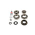 Dana Spicer 2017524 Differential Rebuild Kit Axle Differential Bearing and Seal Kit - DANA 70 Axle