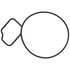 Elring 061.670 Engine Water Pump Gasket Gasket, water pump