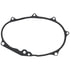 Elring 876 673 Engine Timing Chain Case Gasket Gasket, timing case