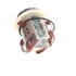 Dorman 904-383 Diesel Exhaust Fluid (DEF) Pump DEF PUMP