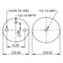 ContiTech 65990 Suspension Air Spring Kit Air Spring Rolling Lobe - P577 (1R12-1204, AS8577, AS8813)