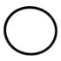 Continental AG 5L340 Accessory Drive Belt Continental Fractional Horsepower Belt (FHP)