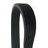 Continental AG D4060861 Serpentine Belt Automotive Multi-V Dual-Sided Belt