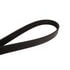 Continental AG 6PK2175 Serpentine Belt Automotive Metric Multi-V Belt