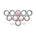 AxleTech E75503731 Oil Seal Oil Seal, 2.40 in. Inside Diameter, 3.00 in. Outside Diameter, 0.60 in. Thickness