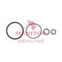 AxleTech E75750425 Hydraulic Cylinder Seal Kit Hydraulic Cylinder Seal Kit