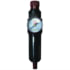 Reading Technologies (RTI) FR250G Air Tool Hose Regulator Filter/Regulator, 1/4" Inlet/Outlet, 30 scfm, 5 um, 120 deg F Max,