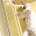 Trimaco 28042 Paint Suit Supertuff Anti-Static Breathable Painter's Spray Suit, Large, White, 100% Polyester