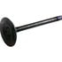 Beck Arnley 021-3295 Engine Intake Valve INTAKE VALVE