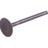Beck Arnley 021-3195 Engine Exhaust Valve EXHAUST VALVE