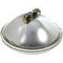 Wagner 4570 Multi-Purpose Light Bulb Wagner Lighting 4570 Standard Multi-Purpose Light Bulb Box of 1