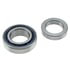 WJB WTA10 Wheel Bearing and Race Set Bearing