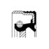 Corteco 82012248 Engine Crankshaft Seal Engine Crankshaft Seal