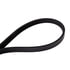 Continental AG 4040400 Serpentine Belt Automotive Multi-V Belt