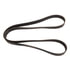 Continental AG 4080384 Serpentine Belt Automotive Multi-V Belt