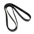 Continental AG 4100555 Serpentine Belt Automotive Multi-V Belt