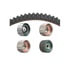 Dayco 95172K1 Engine Timing Belt Kit TIMING BELT KIT, DAYCO
