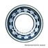 Timken MA5206EL Bearings CYLINDRICAL BEARING