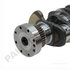 172000 by PAI - Engine Crankshaft Kit - ISB Cummins Engine ISB/QSB Application